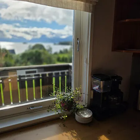 Romslig Naer Sjoen, Mulighet For Bat * Tingvoll